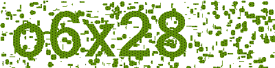 Mã bảo vệ